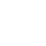 UPS Logo
