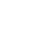Wild Turkey